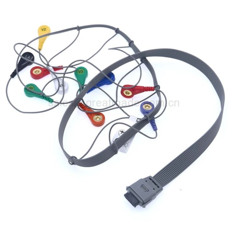 Nuevo cable Holter biomédico compatible BI9800 / BI9000 Holter ECG Cable 10leads Snap AHA 26pin / 0.9m