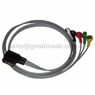 Philips Digitrak Plus Holter compatible 24 horas 3100A, 5 cables, Snap